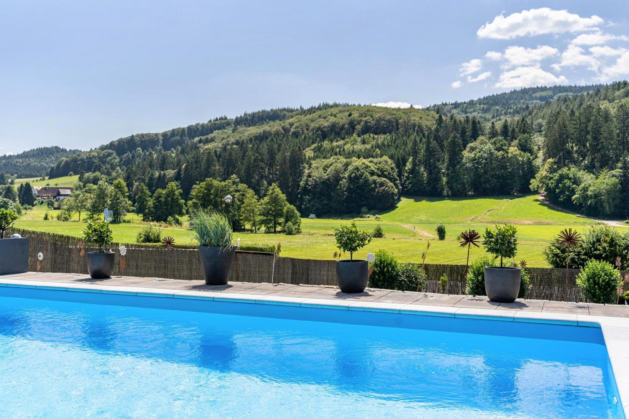 Ferienwohnung Geisbergblick Seelbach  Exteriör bild